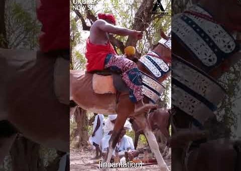 OKUKU ONILE INA Now Showing On @apankufortv1071 ​