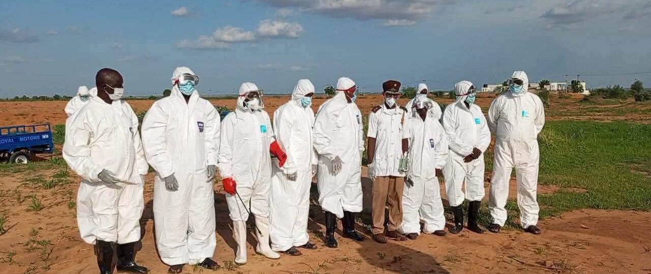 Five Yobe residents hospitalised after rabies-infected dog attack