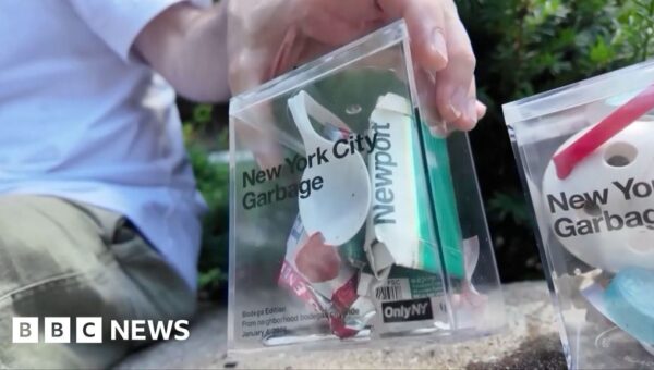 Artist sells garbage collected outside Taylor Swift’s wedding