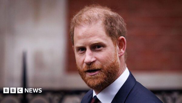 Prince Harry media battle legal bill expected to cost millions