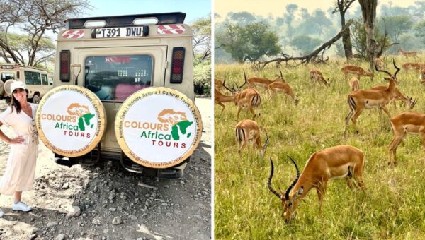 We went on our first African safari. Our trip would’ve been better if we’d known these 5 things before we left.