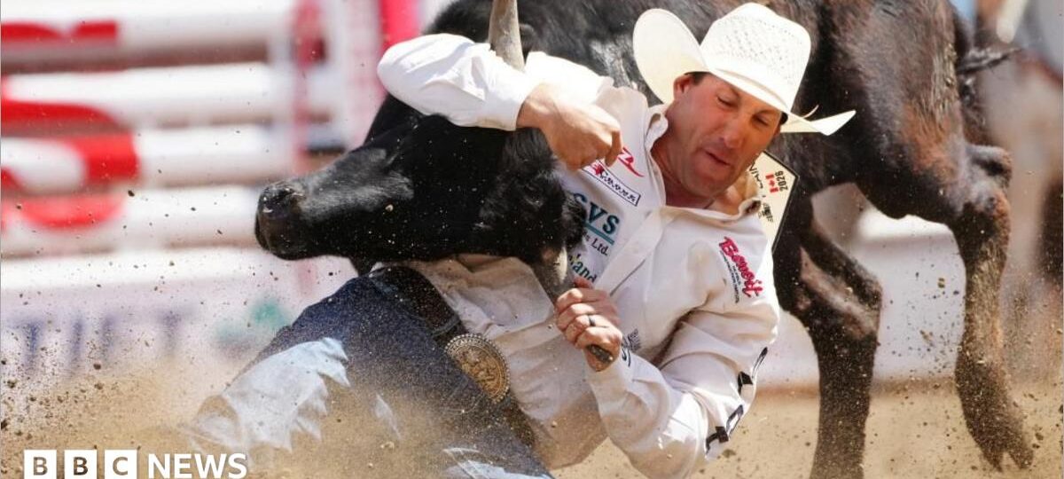 At Canada's biggest rodeo, the starting gun is fired in the fight over Alberta separation