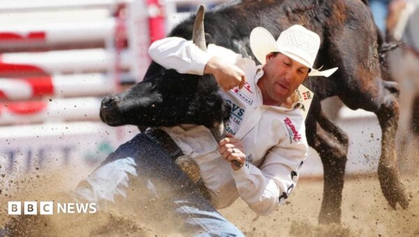 At Canada’s biggest rodeo, the starting gun is fired in the fight over Alberta separation