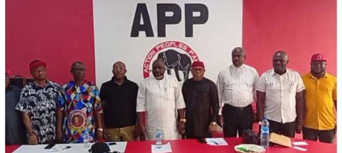We are fully prepared to participate in 2027 general elections – Imo APP chair, Njesi