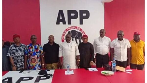 We are fully prepared to participate in 2027 general elections – Imo APP chair, Njesi