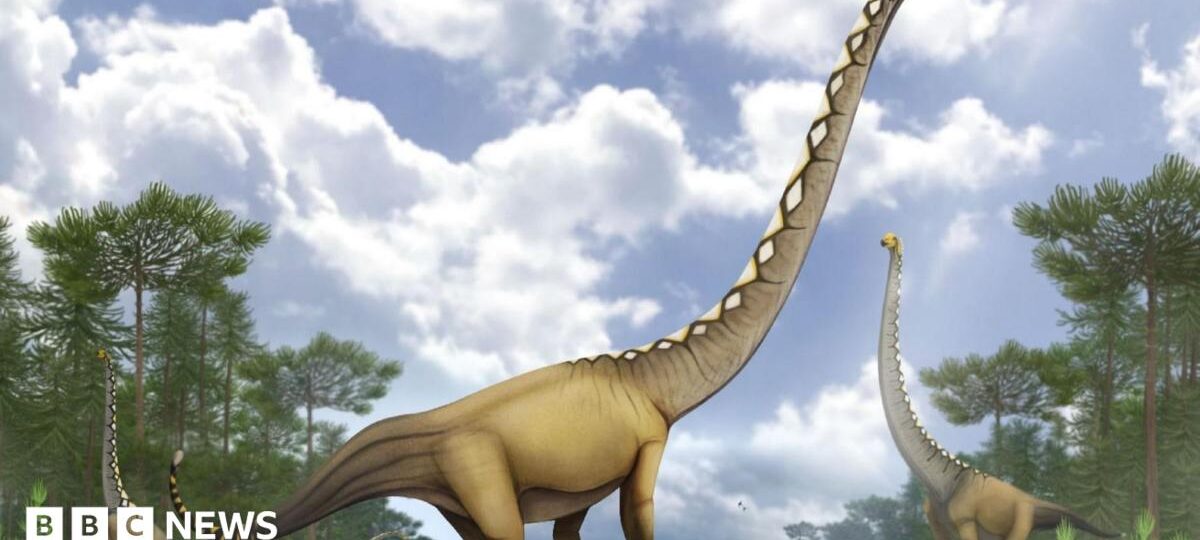 New dinosaur species with neck as long as cricket pitch discovered in Thailand