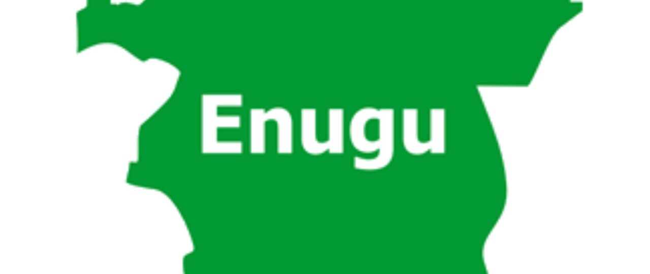 Disclaimer: False and misleading online publication by Ikenna Abanonu of New Berries Park, Enugu