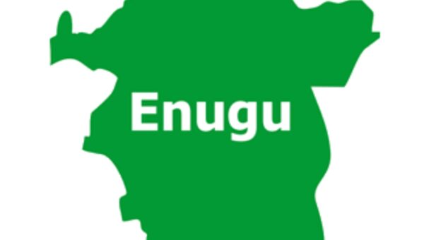 Disclaimer: False and misleading online publication by Ikenna Abanonu of New Berries Park, Enugu