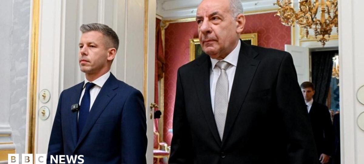 Hungary parliament votes to remove president from office