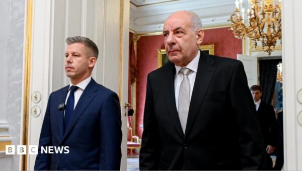 Hungary parliament votes to remove president from office