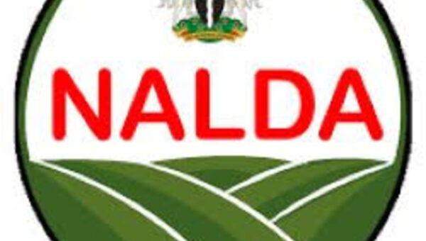 Forest reserves key to tackling insecurity – NALDA
