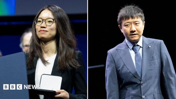 Mathematicians win top prize after solving century’s-old problems