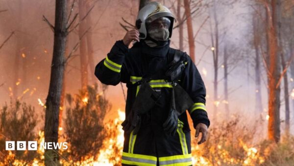 Wildfire now nine miles away from French city of Bordeaux, mayor warns