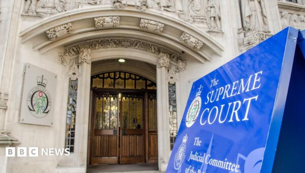 Palestine Action ban to be reviewed by Supreme Court