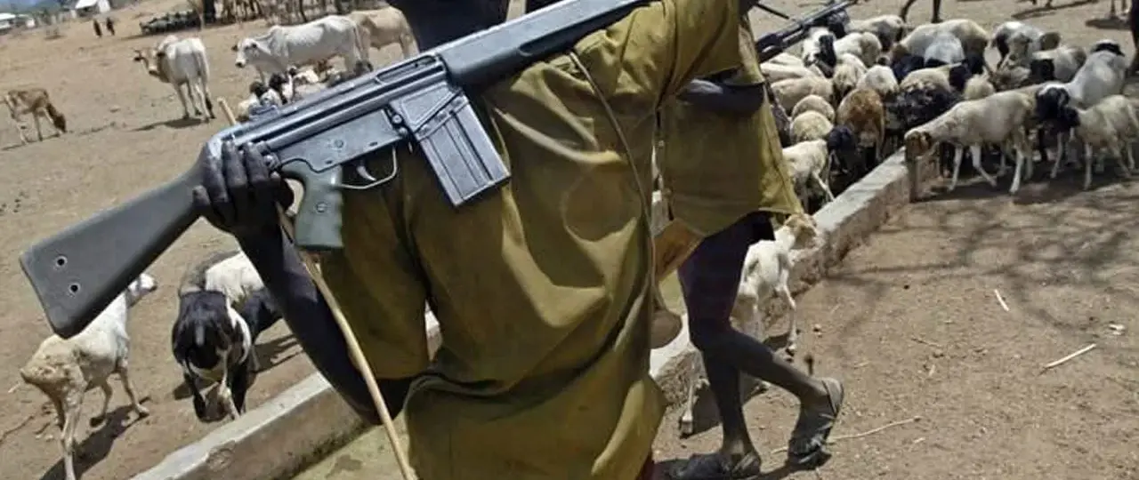 Two killed, over 40 cows stolen as suspected herdsmen attack Benue community