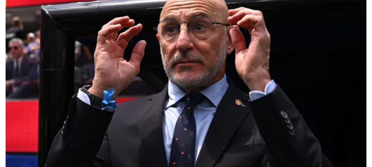 World Cup final: Spain coach, De la Fuente expresses concerns over FIFA’s selection of referee