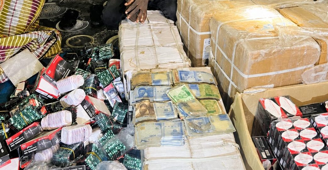 Police raid drug warehouse in Yobe, arrest suspect, recover hard drugs
