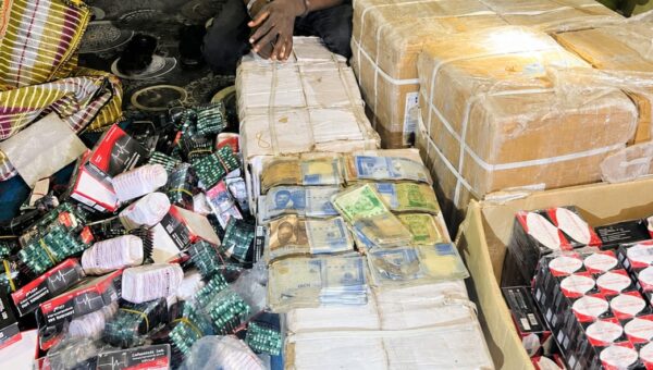 Police raid drug warehouse in Yobe, arrest suspect, recover hard drugs