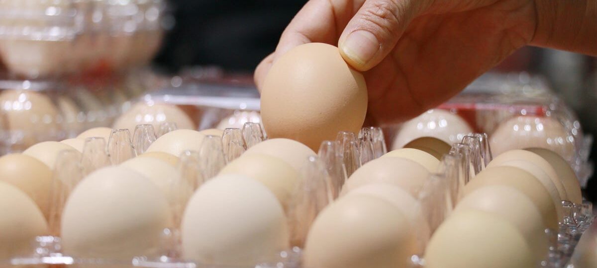 We were gaslit by Big Egg about egg prices (allegedly)