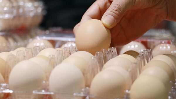 We were gaslit by Big Egg about egg prices (allegedly)