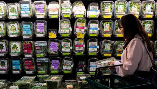 Taylor Farms pulls iceberg lettuce, says it’s ‘deeply concerned’ after cyclospora outbreak