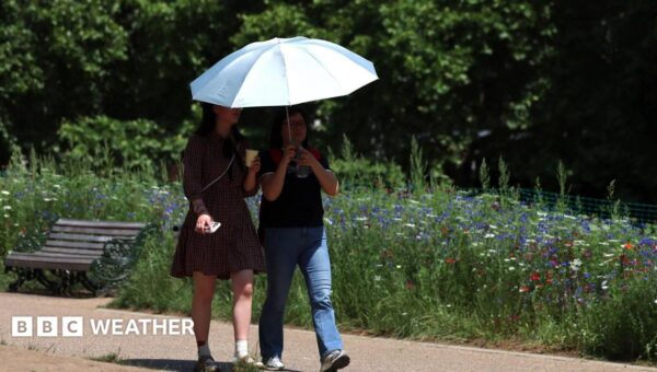 UK temperatures forecast to exceed 30C as another heatwave imminent