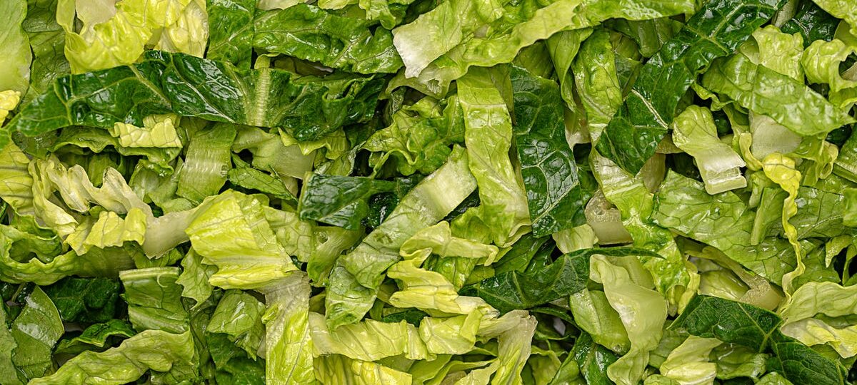 The parasite panic didn’t stop thousands of nutrition experts from chowing down on salad