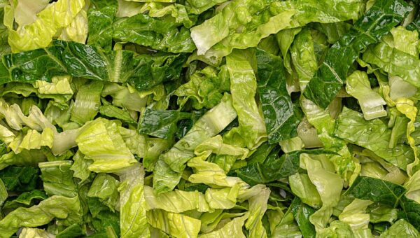 The parasite panic didn’t stop thousands of nutrition experts from chowing down on salad