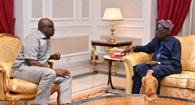 Tinubu Appoints Fayose As REA Chairman, 25 Others To Federal Roles