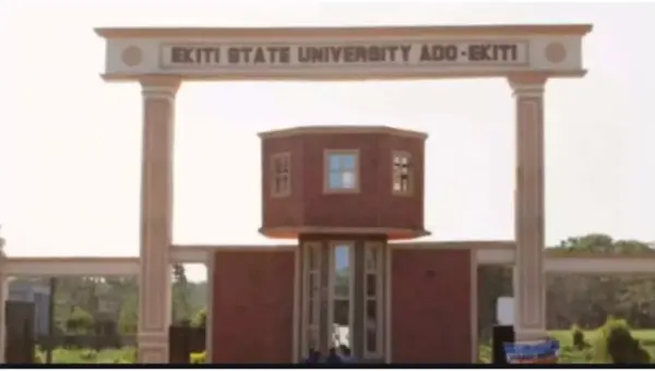 Fund scientific researches into Nigeria’s underutilized medicinal plants – Don to FG