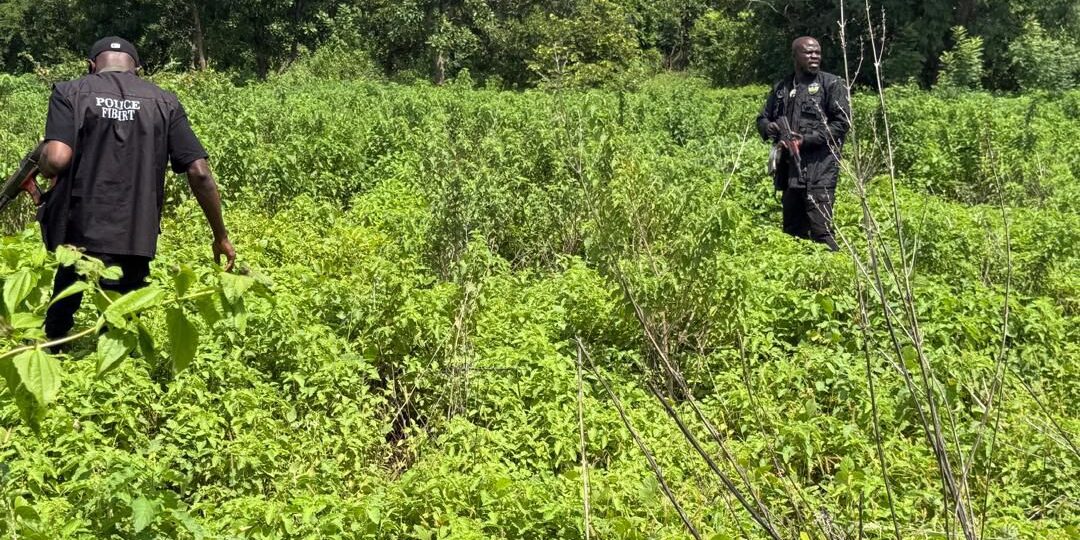 Police rescue kidnapped mother, two-year-old son in Kwara