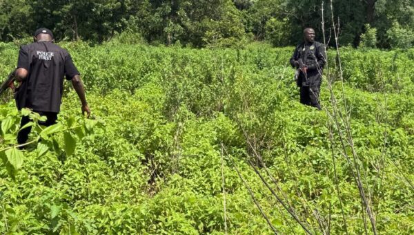 Police rescue kidnapped mother, two-year-old son in Kwara