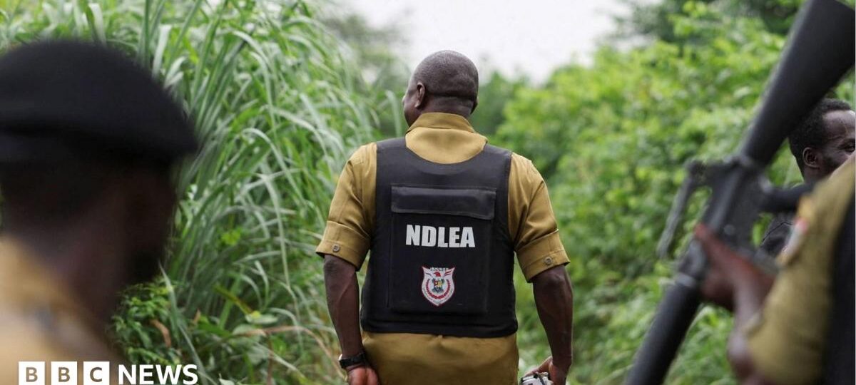 How Mexican drug cartels have outsourced meth labs to Nigeria