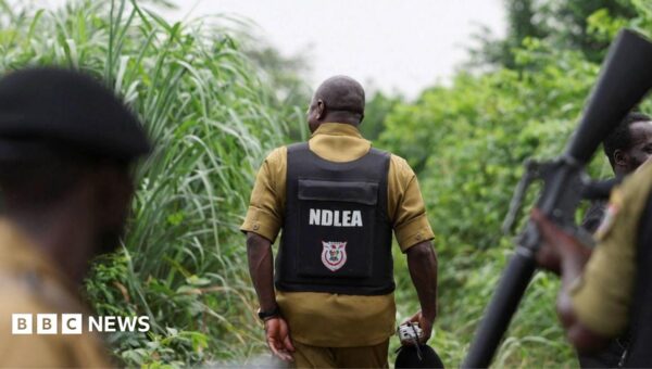 How Mexican drug cartels have outsourced meth labs to Nigeria