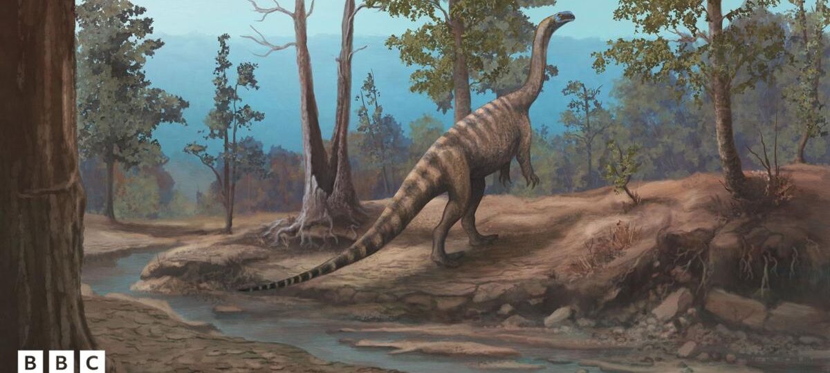 New dinosaur discovered in Zimbabwe