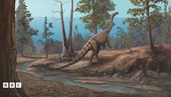 New dinosaur discovered in Zimbabwe
