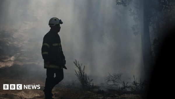 Gironde wildfires pick up as French region braces for new 40C heatwave