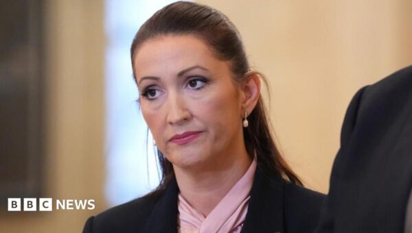 Northern Ireland’s deputy first minster was ‘floored’ by news of Donaldson arrest