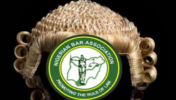 DSS, Foreign Observers To Monitor NBA Election As President Allays Rigging Fears