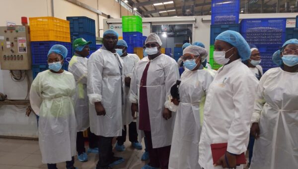 OGEPA tasks industries on environmental compliance, tree planting