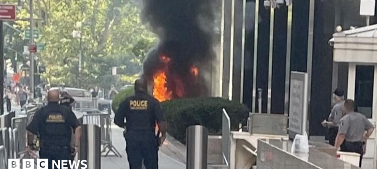 ‘Anti-ICE’ Army veteran set fire outside Manhattan federal building, say officials