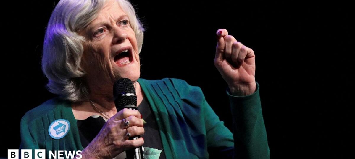 Anton du Beke 'devastated' over Ann Widdecombe death as politicians share shock at murder probe
