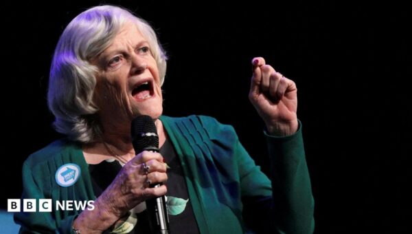 Anton du Beke ‘devastated’ over Ann Widdecombe death as politicians share shock at murder probe