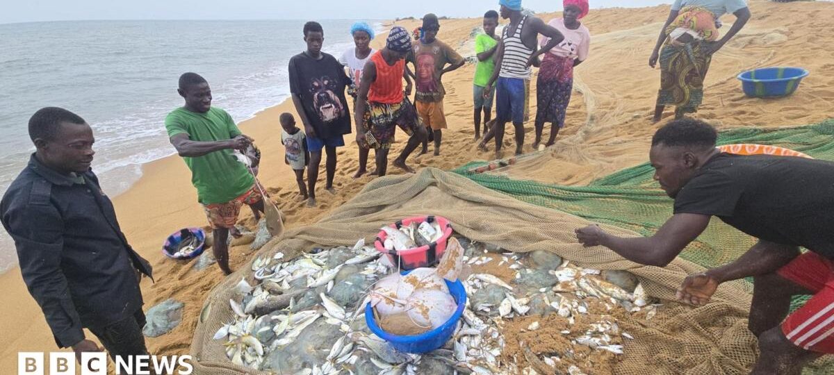 The African fishermen who blame Chinese trawlers for their woes