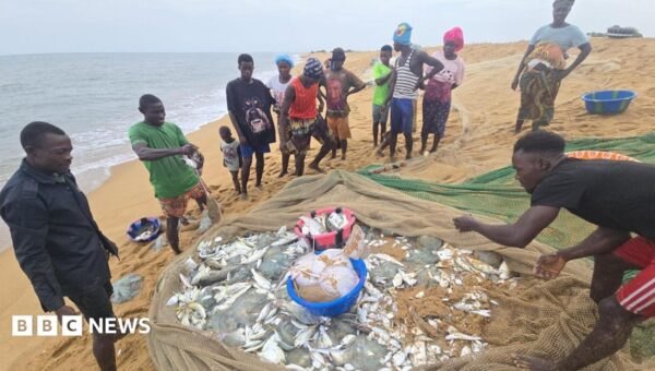 The African fishermen who blame Chinese trawlers for their woes