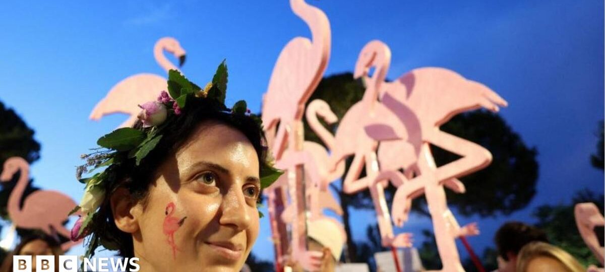 'Flamingo Revolution' takes off as thousands demand Albanian PM's resignation