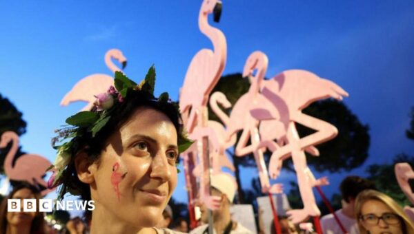 ‘Flamingo Revolution’ takes off as thousands demand Albanian PM’s resignation