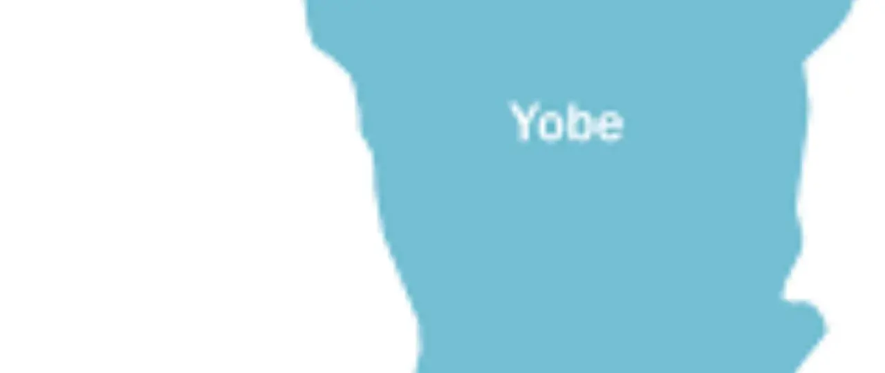 Heavy rain, windstorm leave three dead, hundreds displaced in Yobe