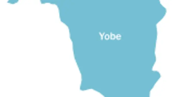 Heavy rain, windstorm leave three dead, hundreds displaced in Yobe