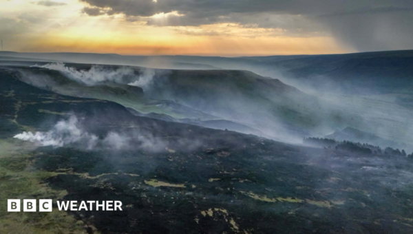 ‘Exceptional’ wildfire risk for parts of UK as heat health alerts issued